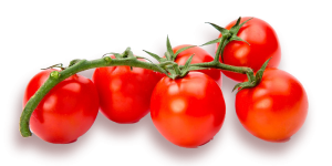 Tomater på kvist